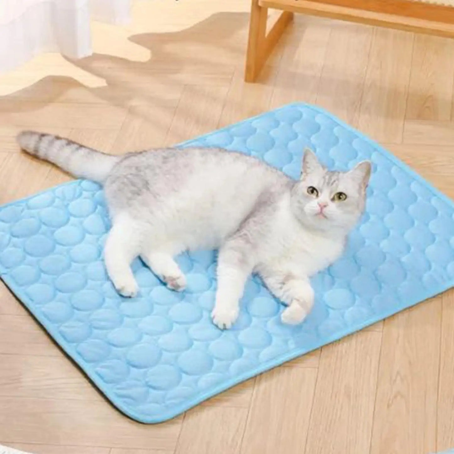 Cats Ice Silk Pet Self Cooling Pad Summer Dog Cool Mat Blanket For Pet Beds/Kennels Reusable Pet Accessories